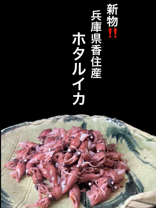 新物！兵庫県香住産のホタルイカ 入荷しました✨️
本日の別紙にメニューあります。酢味噌でどうぞ‼️
-—————————————
【御影酒場 ゆめぞう】
🐘営業時間:17:00〜23:00(LO:22:00)
🐘定休日:月曜日(臨時休業あり)
※お休みについてはSNSの投稿をご確認下さい。
🐘電話 : 078-842-2345 
※営業中の18時〜20時頃はお電話が繋がりづらい場合がございます。予めご了承ください。
🐘場所: 〒658-0046 
兵庫県神戸市東灘区御影本町4丁目12-17
🐘全席禁煙(喫煙室あり)
🐘お支払い方法:現金のみ

姉妹店: 
【魚崎酒場 きりん 】
★営業時間:17:00〜23:00(LO:22:00)
★定休日:月曜日(臨時休業あり)
★電話 : 078-855-4833
★場所: 〒658-0025 神戸市東灘区魚崎南町8丁目8-19クレール魚崎１階東
★全席禁煙(喫煙室あり)
★お支払い方法:現金のみ

#御影酒場ゆめぞう#兵庫ディナー#神戸ディナー #神戸居酒屋#東灘グルメ御影グルメ灘五郷菊正宗剣菱白鶴杜氏鑑の飲める店日本酒和食創作和食お造りお造り盛り合わせお造りが美味しい