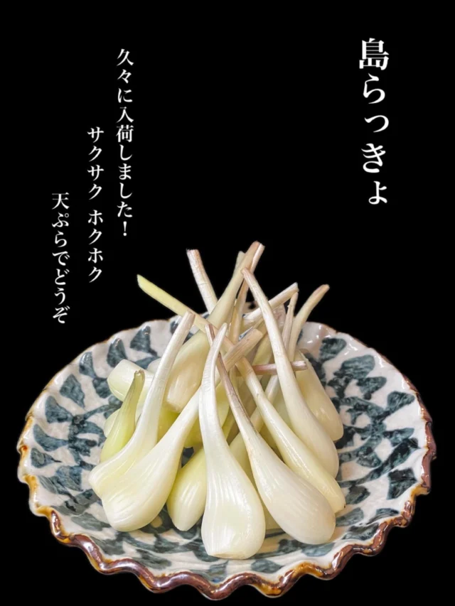 久しぶりの入荷‼️島らっきょうあります‼️
天ぷらはサクッと、塩漬けは旨みぎゅっと。
クセになる逸品です✨️
——————————————
【御影酒場 ゆめぞう】
🐘営業時間:17:00〜23:00(LO:22:00)
🐘定休日:月曜日(臨時休業あり)
※お休みについてはSNSの投稿をご確認下さい。
🐘電話 : 078-842-2345 
※営業中の18時〜20時頃はお電話が繋がりづらい場合がございます。予めご了承ください。
🐘場所: 〒658-0046 
兵庫県神戸市東灘区御影本町4丁目12-17
🐘全席禁煙(喫煙室あり)
🐘お支払い方法:現金のみ

姉妹店: 
【魚崎酒場 きりん 】
★営業時間:17:00〜24:00(LO:23:00)
日曜日は、23:00閉店(LO:22:00)
★定休日:月曜日(臨時休業あり)
★電話 : 078-855-4833
★場所: 〒658-0025 神戸市東灘区魚崎南町8丁目8-19クレール魚崎１階東
★全席禁煙(喫煙室あり)
★お支払い方法:現金のみ

#御影酒場ゆめぞう#魚崎酒場きりん#神戸居酒屋#日本酒